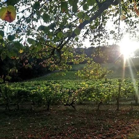 Chateau Regaldo-Saint Blancard Salleboeuf Ngoại thất bức ảnh