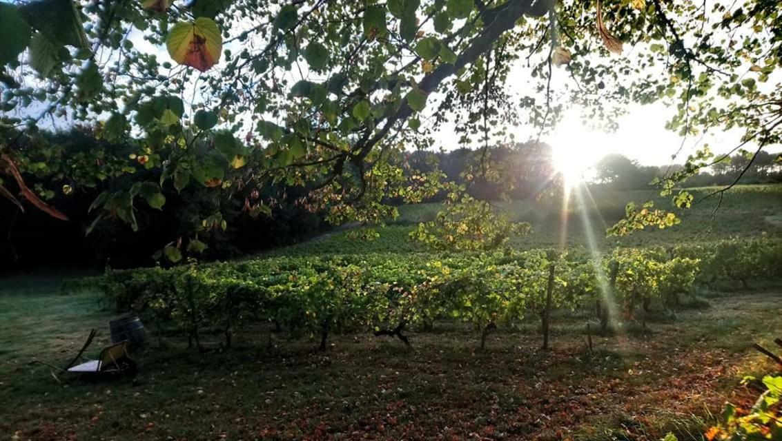 Chateau Regaldo-Saint Blancard Salleboeuf Ngoại thất bức ảnh