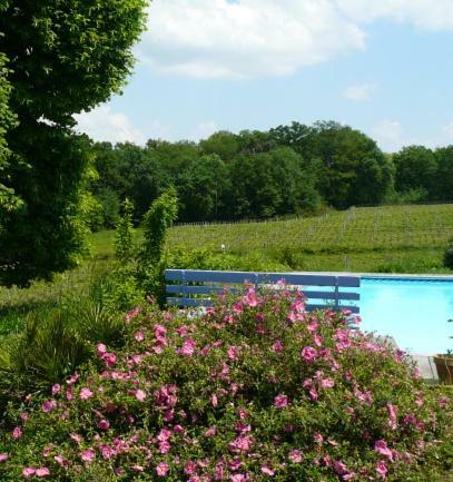 Chateau Regaldo-Saint Blancard Salleboeuf Ngoại thất bức ảnh