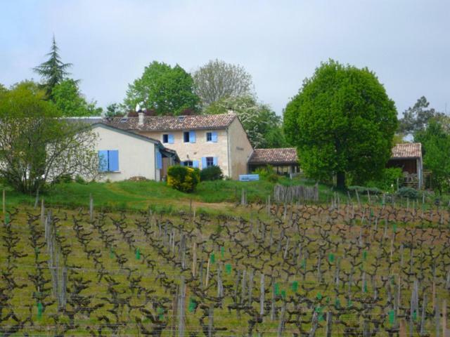 Chateau Regaldo-Saint Blancard Salleboeuf Ngoại thất bức ảnh